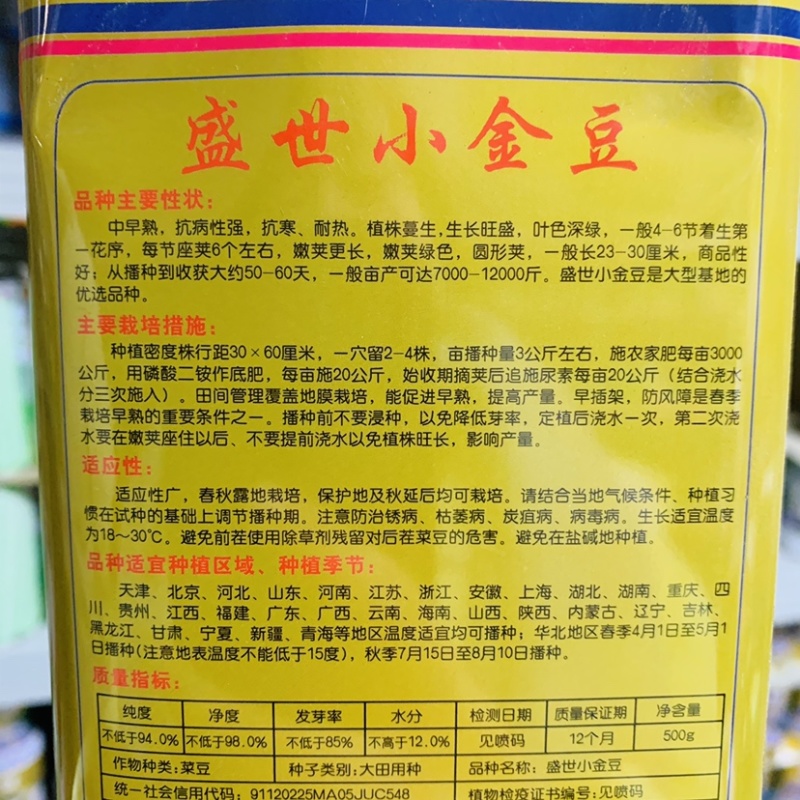 盛世小金豆种子基地专用红花青荚架豆种子圆形荚四季豆种子
