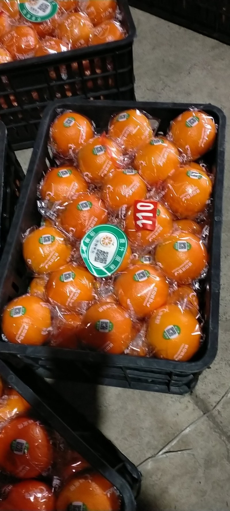 湖南湘西保靖椪柑颜色红，个头大，大量上市走货中