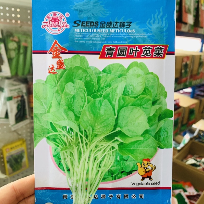 金盛达青圆叶苋菜种子青香苋菜嫩绿色苋菜种籽小包装蔬菜