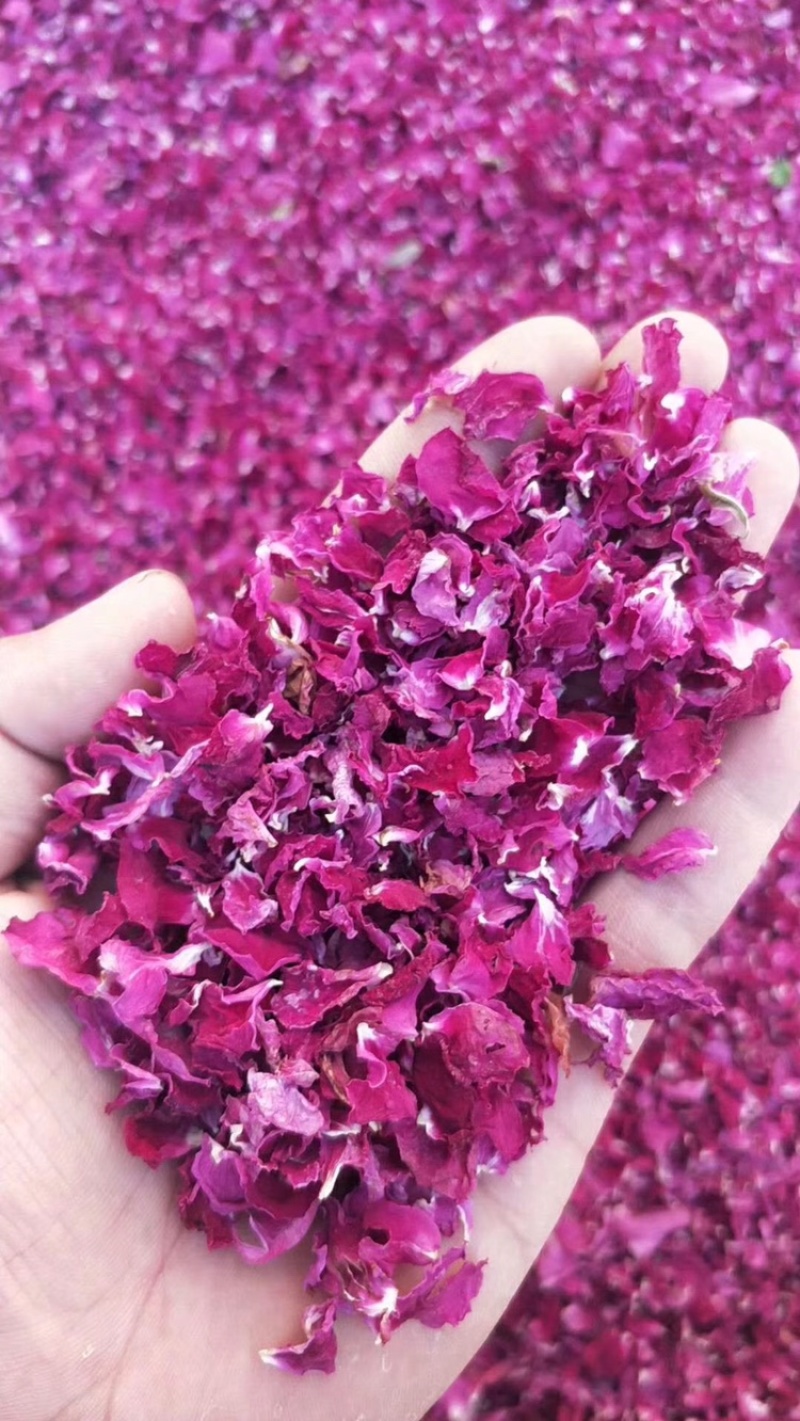 平阴玫瑰花重花瓣食用玫瑰花瓣泡茶