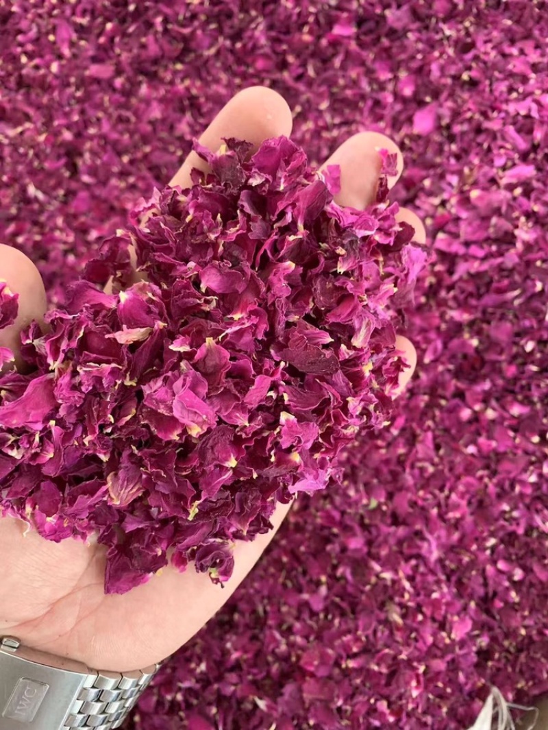 平阴玫瑰花重花瓣食用玫瑰花瓣泡茶