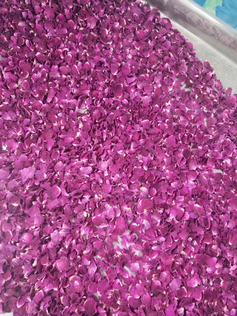 平阴玫瑰花重花瓣食用玫瑰花瓣泡茶
