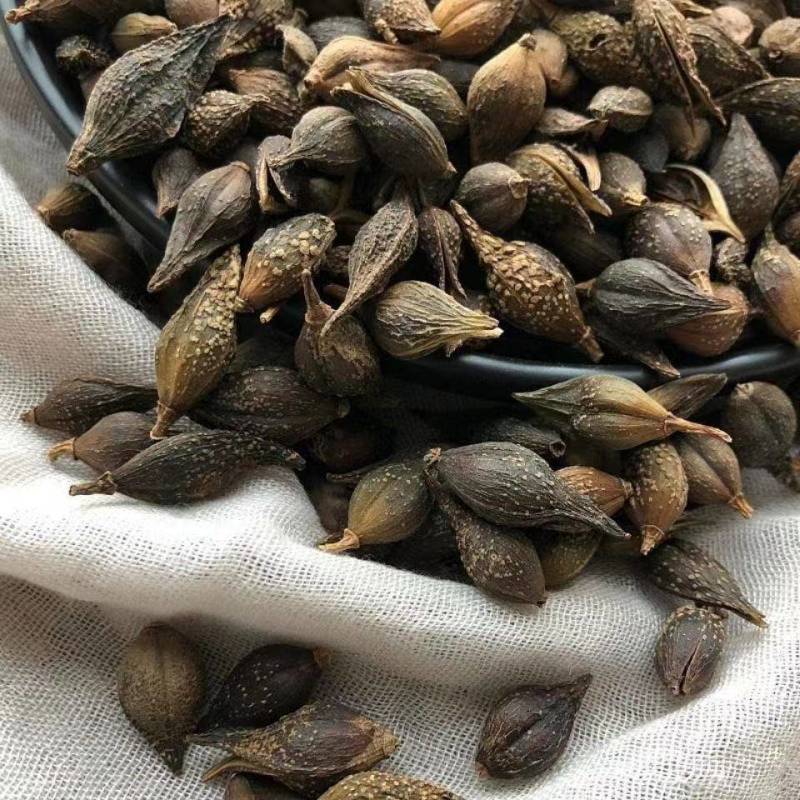 连翘，青翘，水煮货，生晒货都有，中药材批发连翘