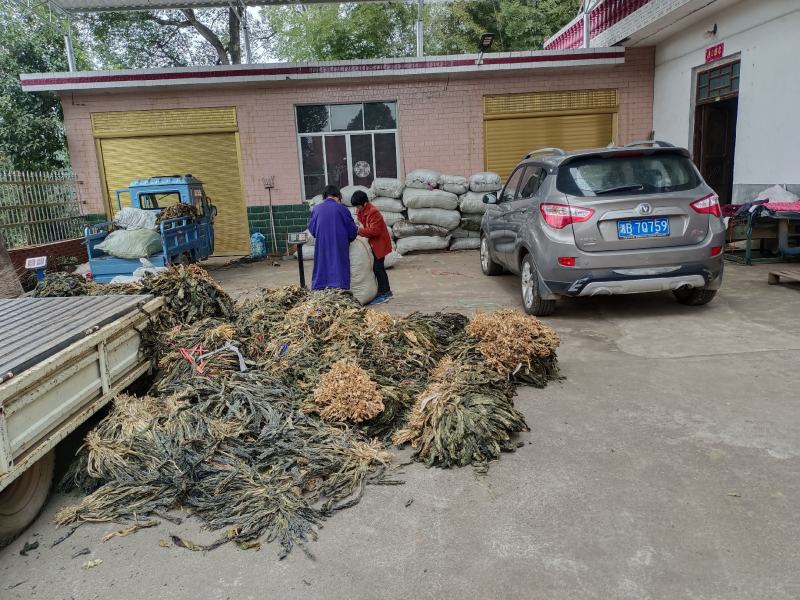 脱水白菜，农家自产自销，品质保证，价格可谈，欢迎联系