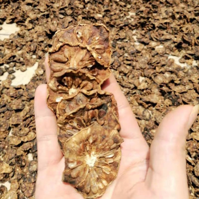 诺丽果干片西双版纳云南海南诺丽干片便秘果纯果汁肉诺丽酵素