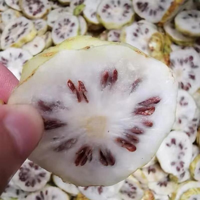 诺丽果干片西双版纳云南海南诺丽干片便秘果纯果汁肉诺丽酵素