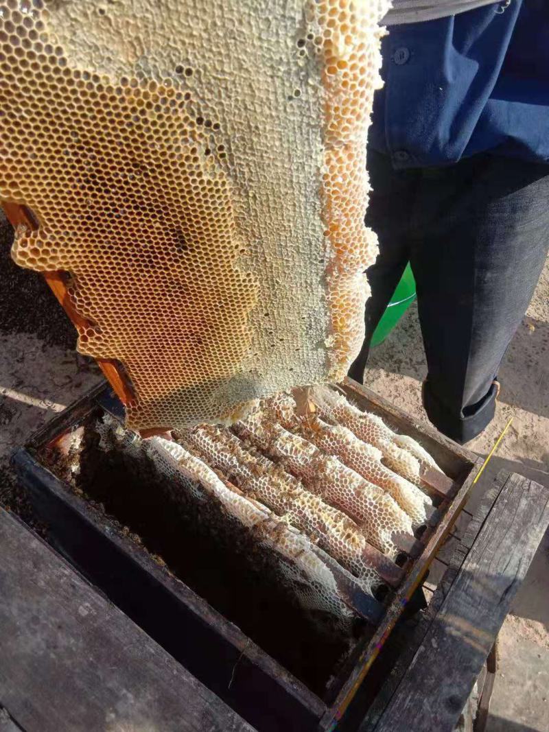 黔蕊蜜蜂养殖专业合作社，出售无科技狠活蜂蜜质量保证