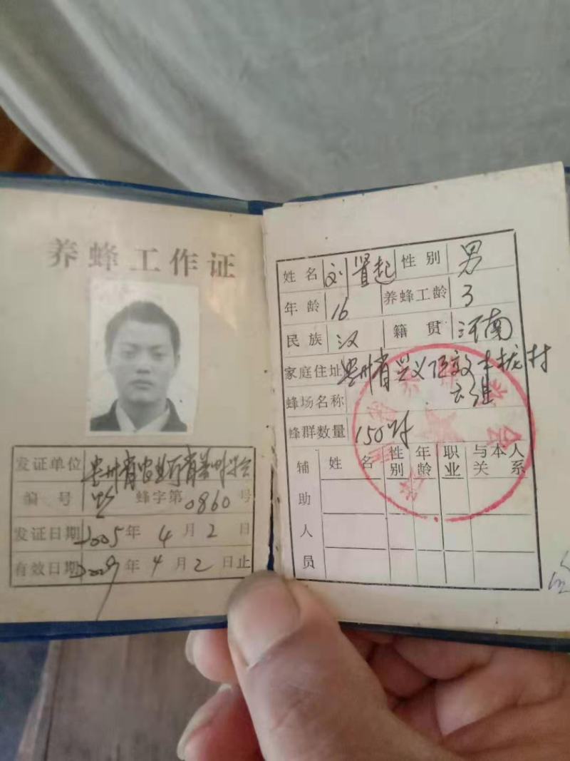 黔蕊蜜蜂养殖专业合作社，出售无科技狠活蜂蜜质量保证