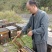 黔蕊蜜蜂养殖专业合作社，出售无科技狠活蜂蜜质量保证