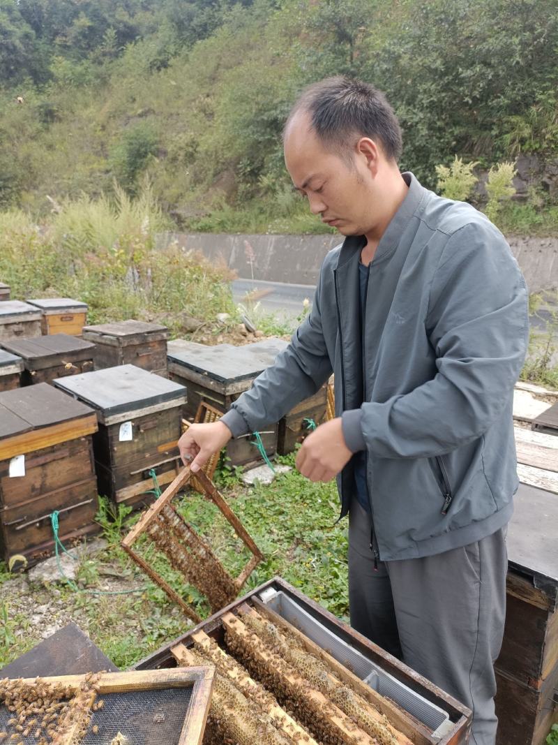 黔蕊蜜蜂养殖专业合作社，出售无科技狠活蜂蜜质量保证