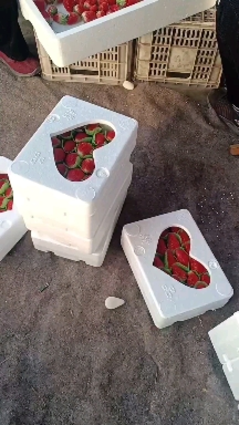 临沂妙香，久香，联盟大量上市