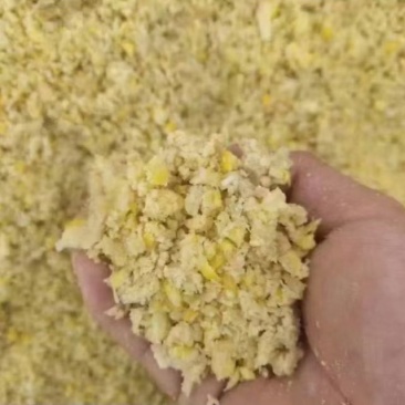 发酵熟玉米适合鸡鸭鹅猪牛羊养殖使用，也适用于水产养殖