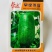帮达早绿冬瓜种子一代杂交小冬瓜种子耐寒抗病高产全国范围种