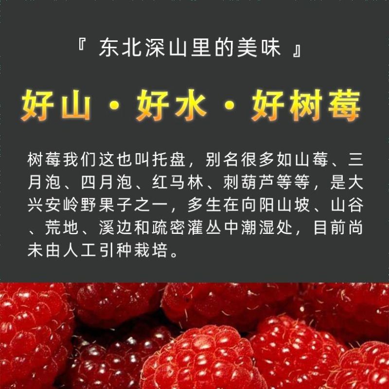 树莓新货山月莓干果泡水红秋莓干覆盆子托盘不加糖不加油包邮