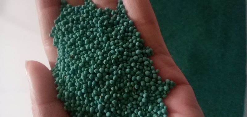 狗牙根种子草坪种子包衣狗牙根带壳狗牙根固堤保土