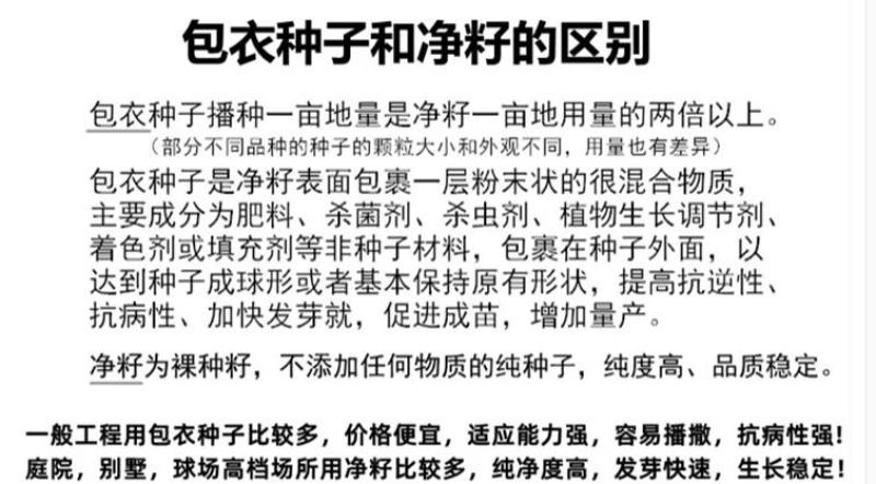 狗牙根种子草坪种子包衣狗牙根带壳狗牙根固堤保土