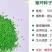 狗牙根种子草坪种子包衣狗牙根带壳狗牙根固堤保土