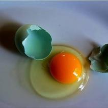 柴鸡蛋土鸡蛋绿壳鸡蛋