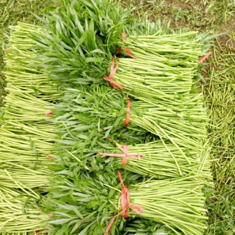 量少缺货