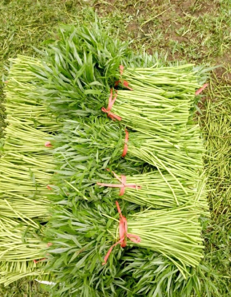 量少缺货