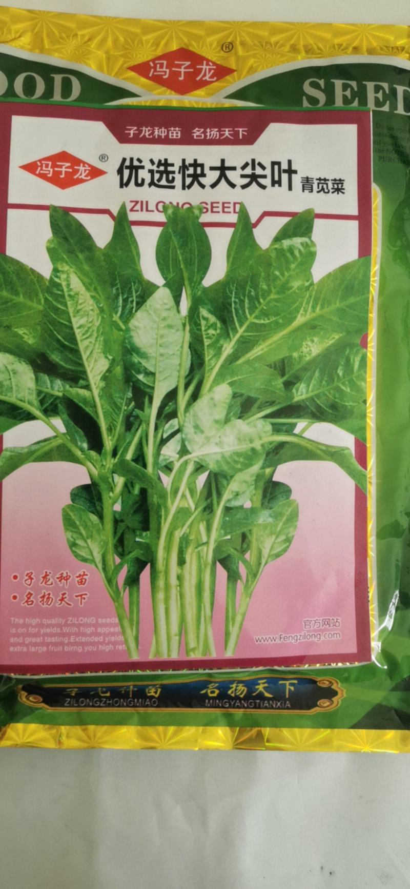 柳叶苋菜种子汗苋菜大叶尖叶青苋菜早熟适应性强耐热高产