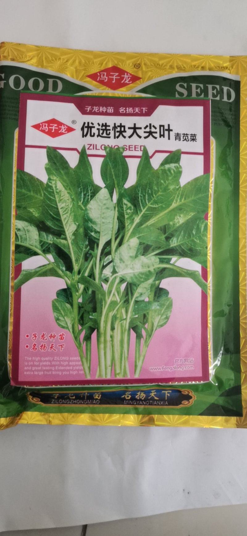 柳叶苋菜种子汗苋菜大叶尖叶青苋菜早熟适应性强耐热高产