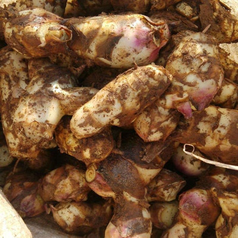 蕉芋粉农家巴蕉芋粉烧仙草配料蕉芋淀粉福建芭蕉藕粉烧仙草原