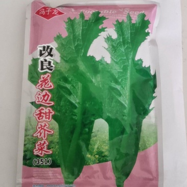 改良花边甜芥菜种子花边甜芥菜种子花叶芥菜大叶青菜种籽