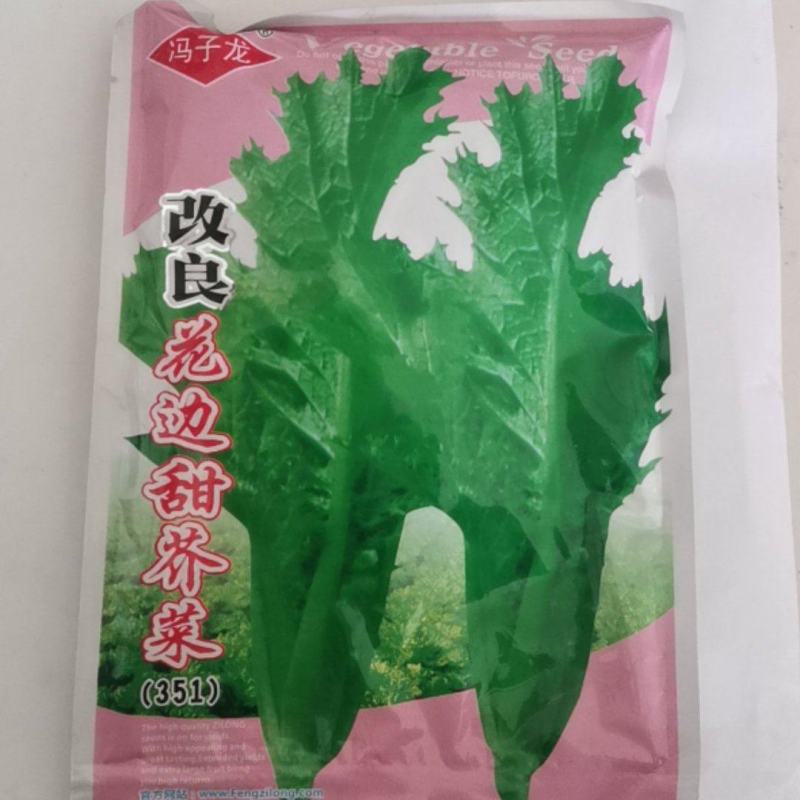 改良花边甜芥菜种子花边甜芥菜种子花叶芥菜大叶青菜种籽