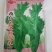 改良花边甜芥菜种子花边甜芥菜种子花叶芥菜大叶青菜种籽