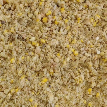 发酵玉米代替玉米使用适用于鸡鸭鹅猪牛羊养殖使用