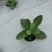银黑膜，打孔地膜，反光膜，增色膜，抗氧化耐高温，支持定做