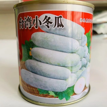 地爬种植专用台湾小冬瓜种子春秋两用加工出口品种冬瓜