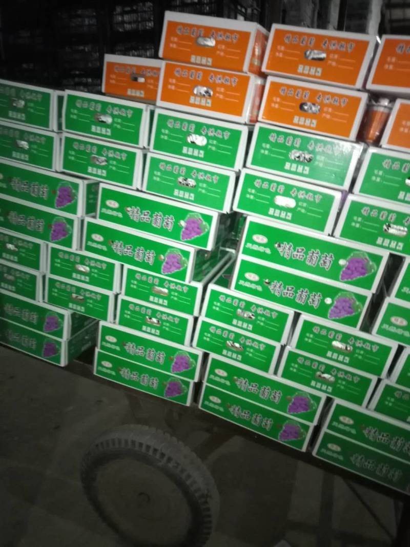 巨峰葡萄有大量库存，有需要的老板前来选购吧