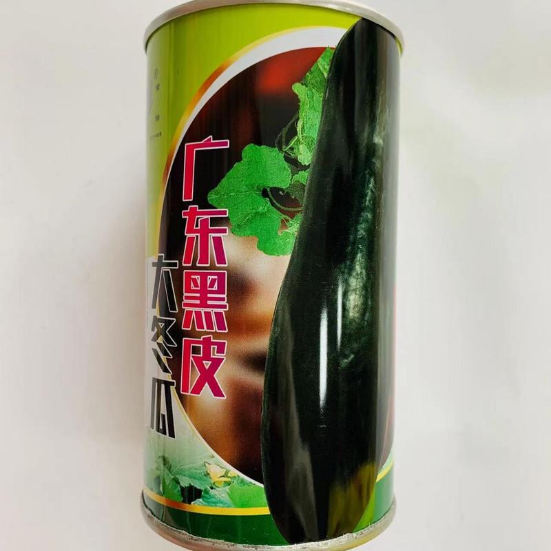 耐贮运味清甜广东黑皮大冬瓜种子瓜长约40-50厘米