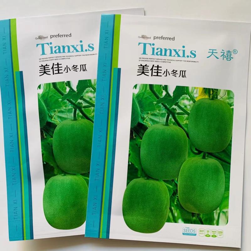 上市早天禧美佳小冬瓜种子杂交一代早熟中小型冬瓜种籽高产