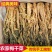 梅菜干梅干菜梅干菜干货梅干菜批发腌制咸菜梅干菜下