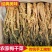 梅菜干梅干菜梅干菜干货梅干菜批发腌制咸菜梅干菜下
