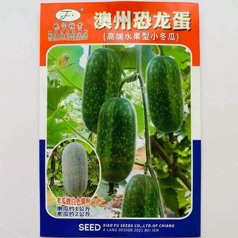 高端水果冬瓜种子很嫩很好吃澳州恐龙蛋冬瓜种子早熟小冬瓜