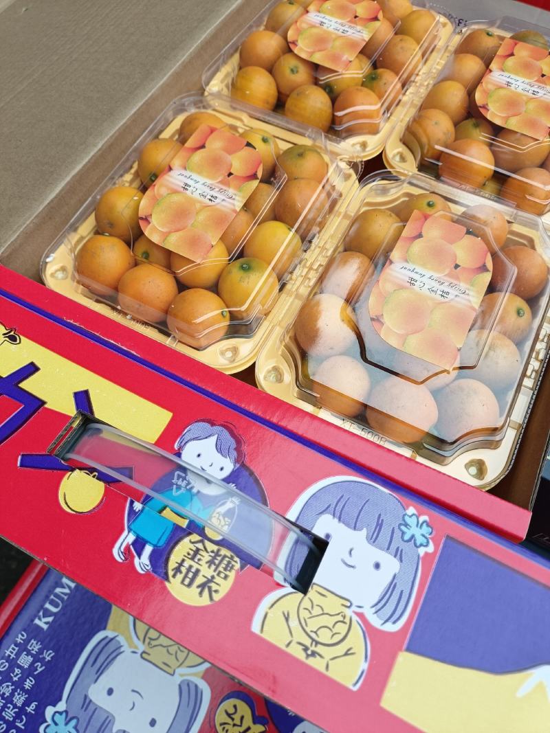 批发【脆皮金桔】金桔礼盒装发货新鲜品实惠价大量现货供应