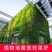 室外园林垂直绿化种植盒植物墙花盆容器挂墙式立体组合种植槽