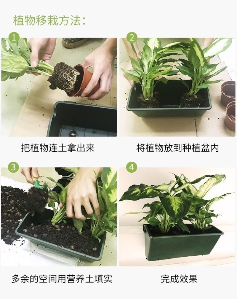 室外园林垂直绿化种植盒植物墙花盆容器挂墙式立体组合种植槽