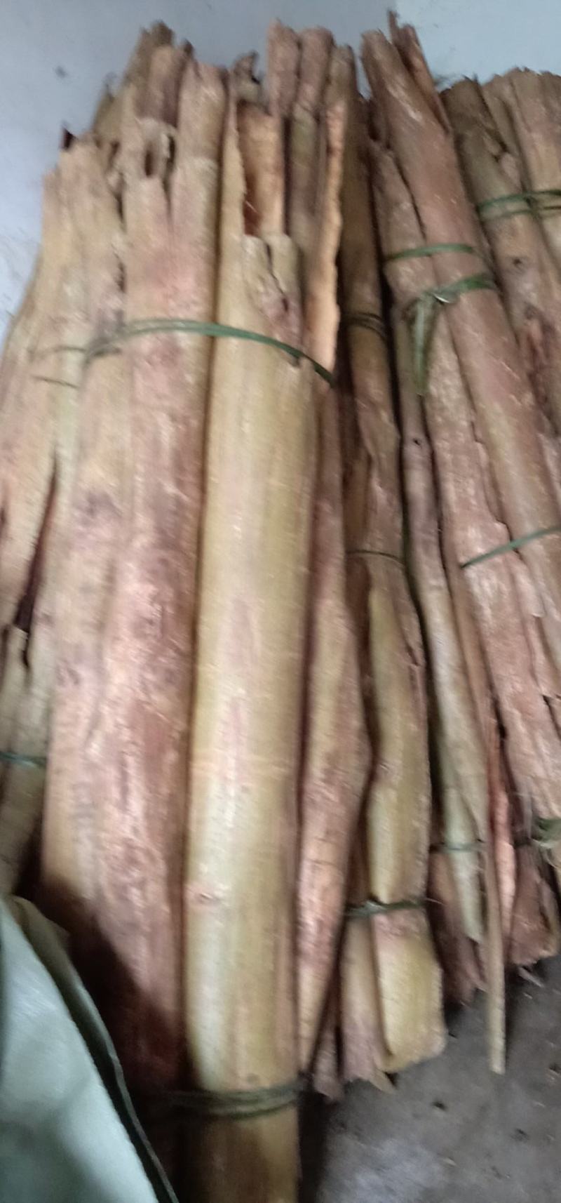 刮皮货大山里厚朴优质片子