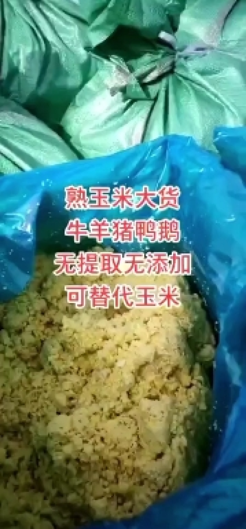 熟玉米发酵饲料适用于鸡鸭鹅猪牛羊养殖使用