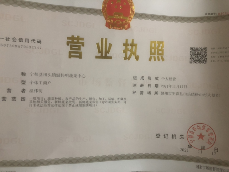 江西宁都软皮螺丝椒（中拢）新苗37/94万亩大棚种植基地