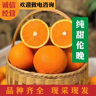 精品橙子.伦晚果园看货装货.电商批发商出口/坏果包赔