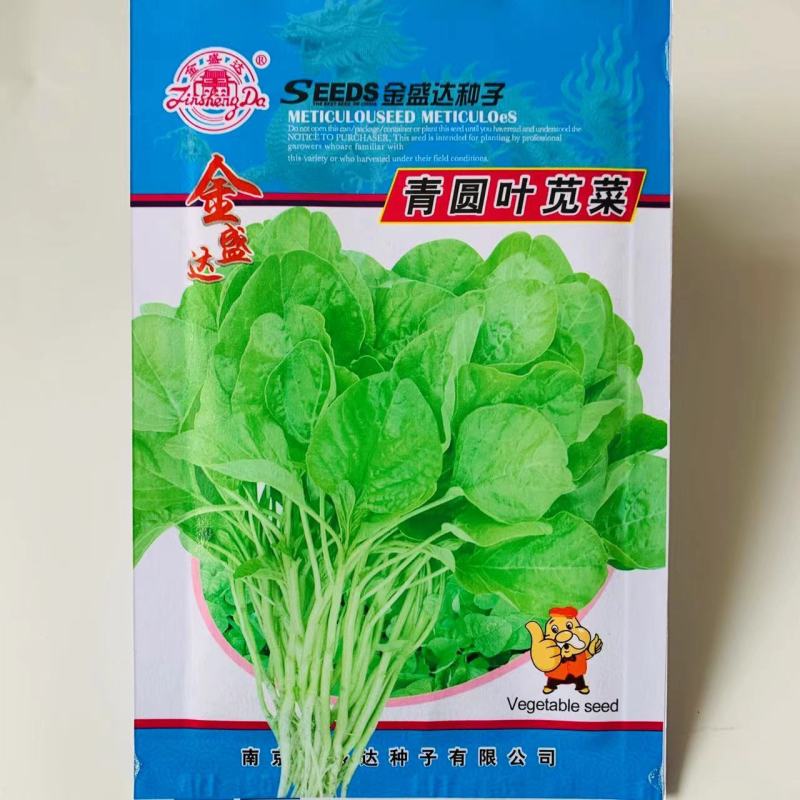 苋菜种子批发地方品种金盛达青圆叶苋菜种子10克装蔬菜种