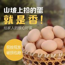 新鲜土鸡蛋可选散养新鲜草鸡蛋正宗农家柴鸡蛋整箱鸡蛋包邮