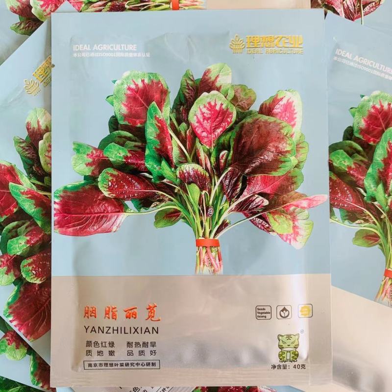 金品花红苋菜种子早熟耐热耐旱鲜红糯米苋菜种子圆叶苋菜