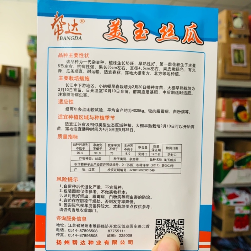 帮达美玉丝瓜种子早熟抗病强挂条顺直长丝瓜种籽春秋